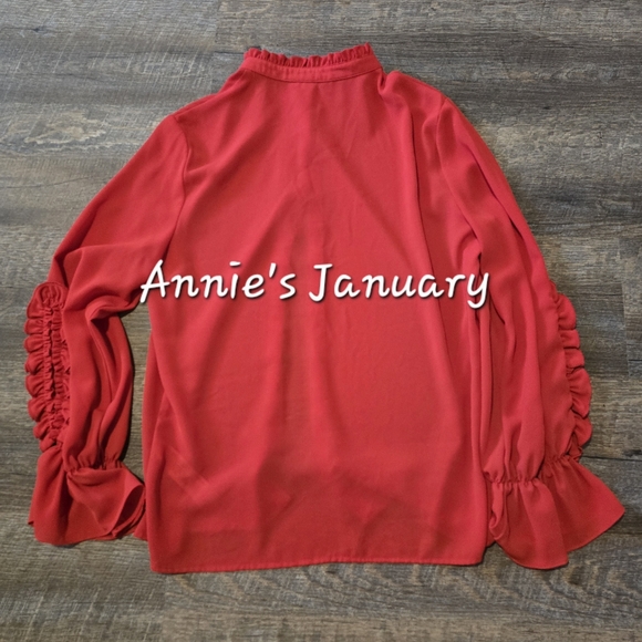 ZARA Women's Pre-owned Ruffles Collar Blouse(Red, US M / EUR M) - Picture 10 of 10